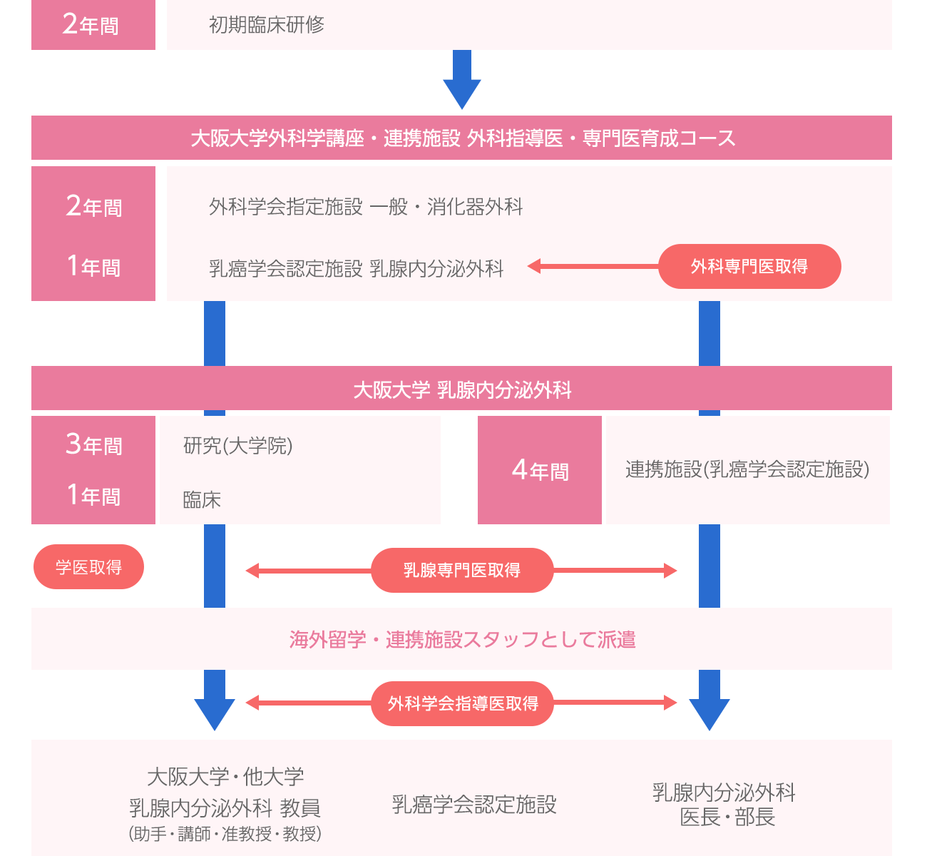 キャリアプラン図